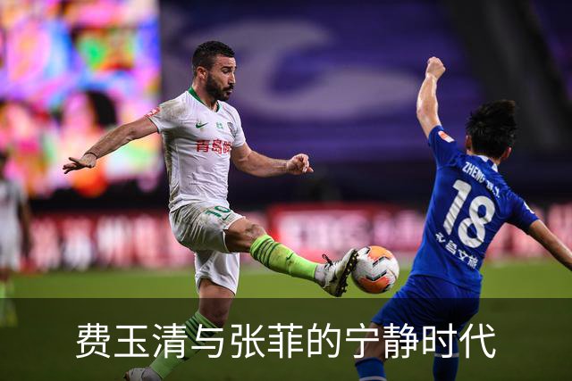 费玉清与张菲的宁静时代